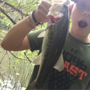 Meet your Posher, Jace